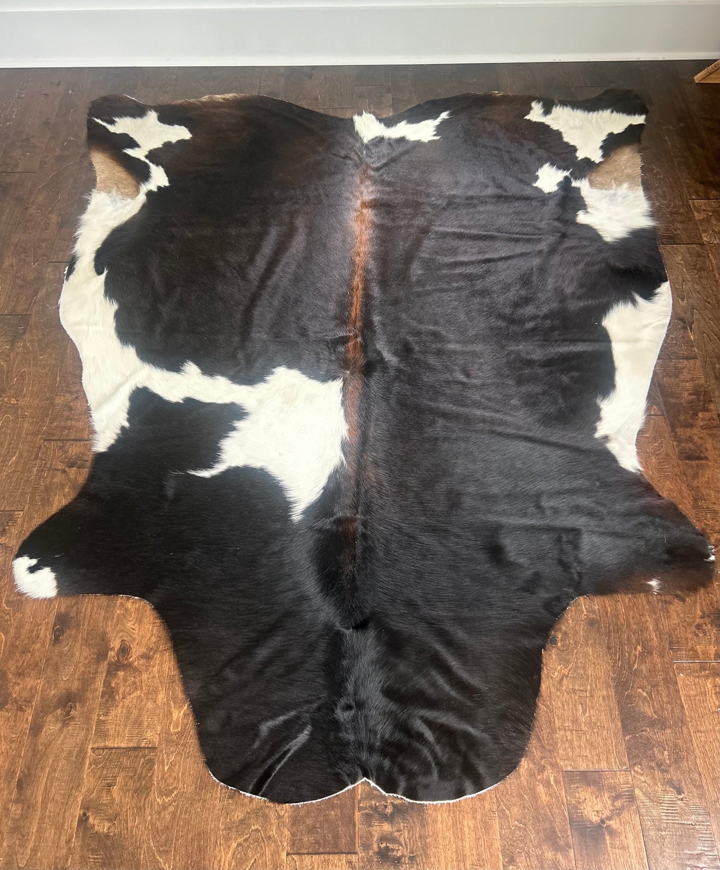 Columbian Exotic Tone in Large