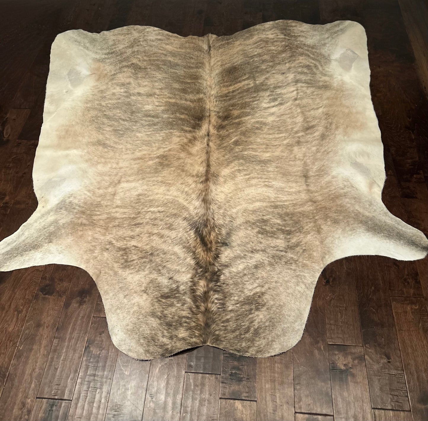 Colombian Light Brindle Cowhide in Large