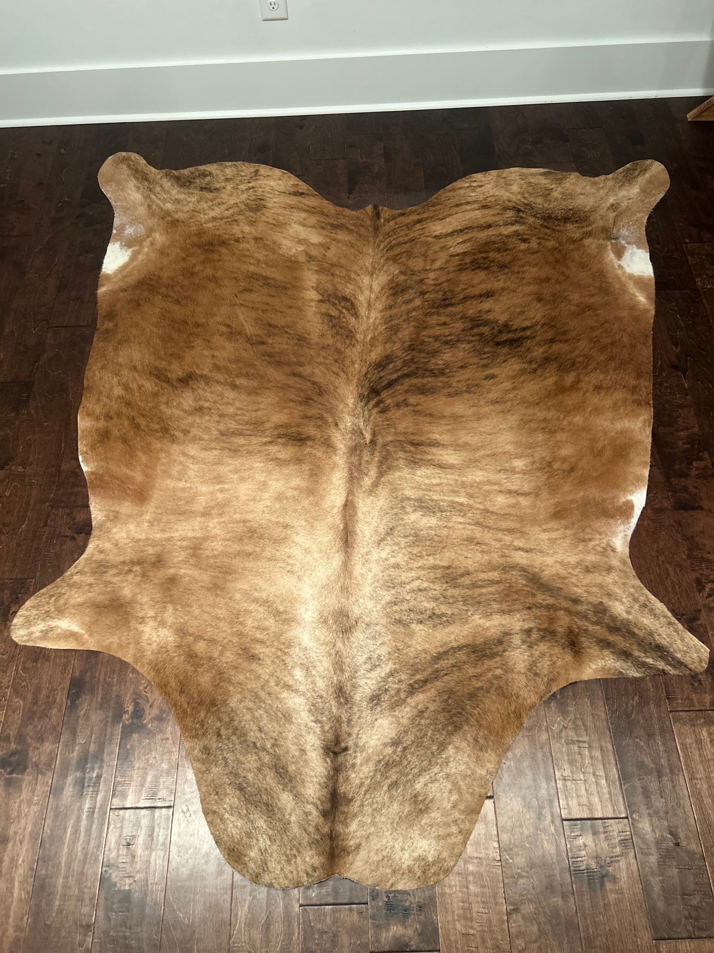 Colombian Medium Brindle Cowhide in Large