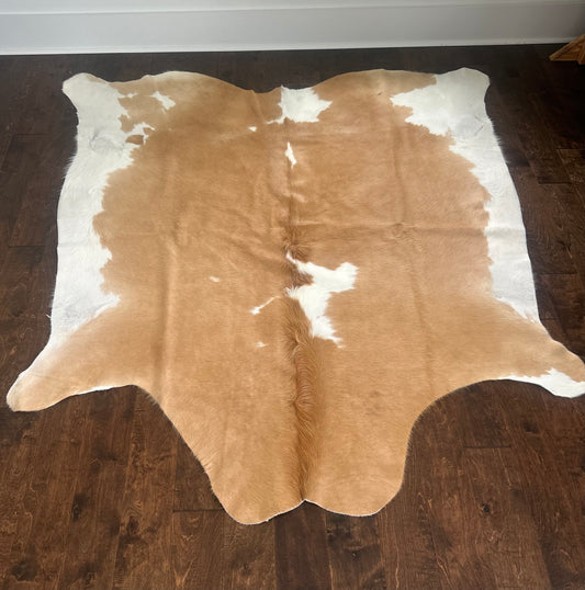 Columbian Exotic Tone in Large