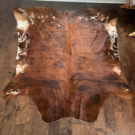 Columbian Medium & Dark Brindle in Large