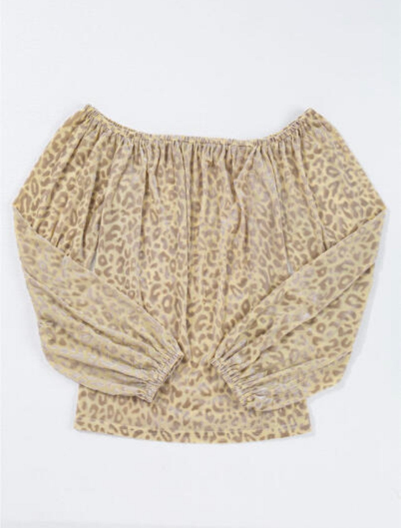 Beige Leopard Velvet Burnout Off Shoulder Long Sleeve Blouse